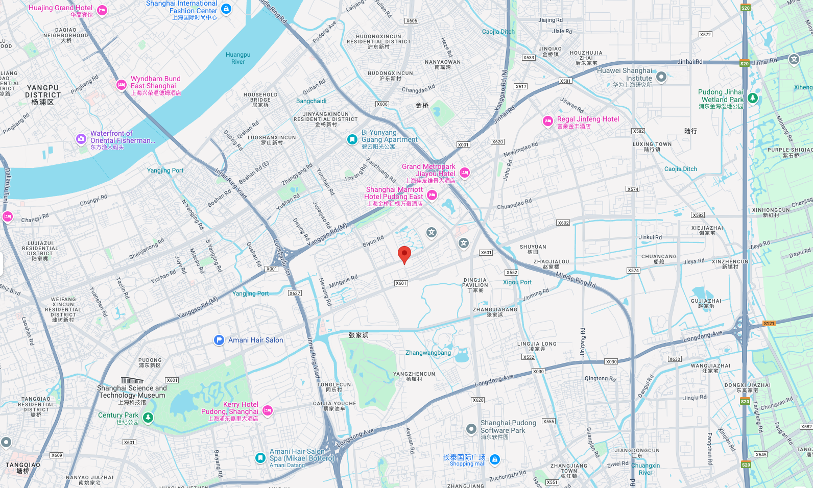DCSPD Location image for 266 LanÁn Road, Jinqiao, Shaghai, China